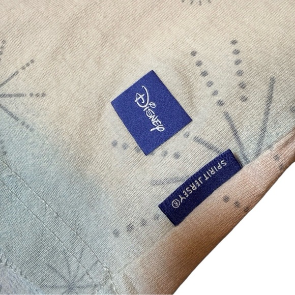 Disney Spirit Jersey XL Mickey Friends 100 Years of Wonder Disneyland Resort - Picture 5 of 7